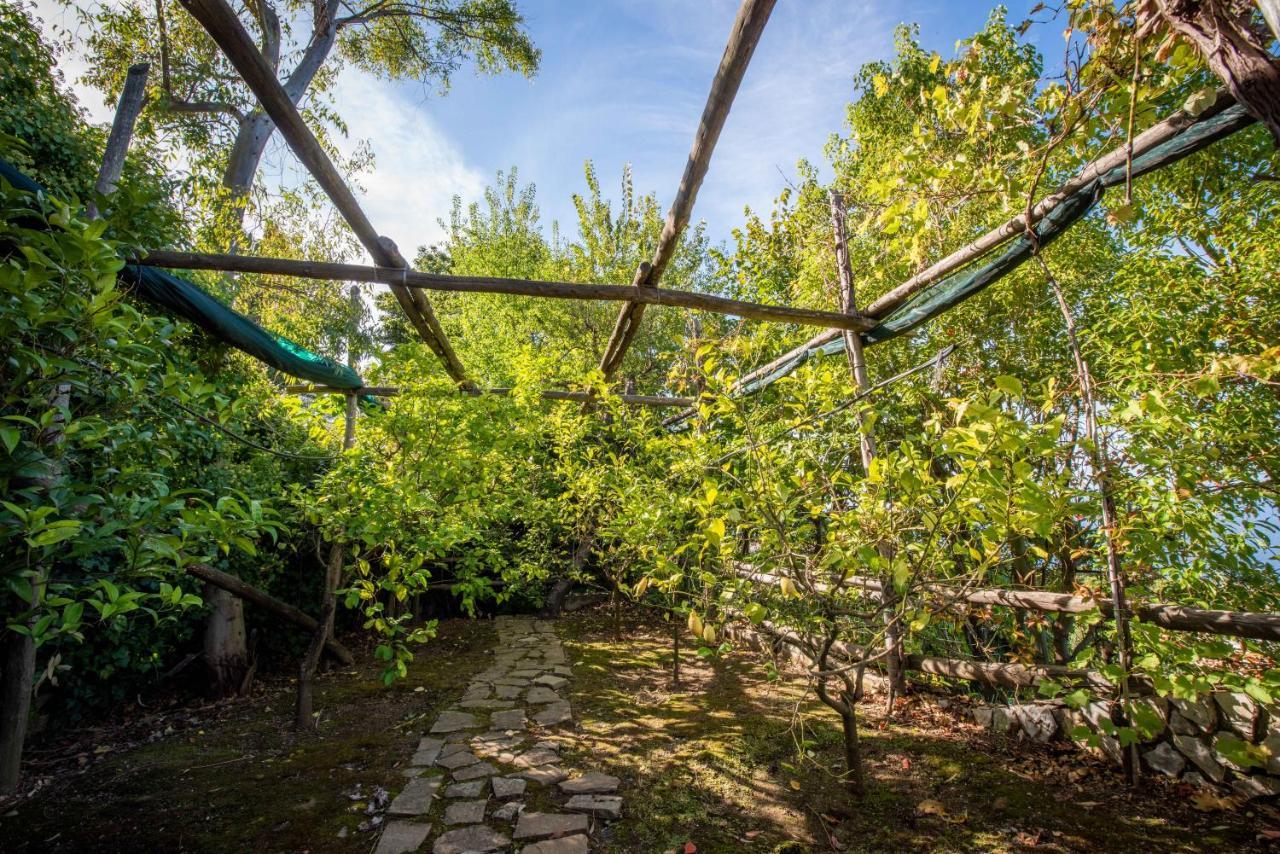 Vila Casa Angelica Sorrento Exteriér fotografie